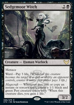 Sedgemoor Witch Hoofdafbeelding