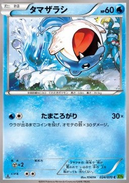 Spheal - Tidal Storm (Common) [XY5t-024]