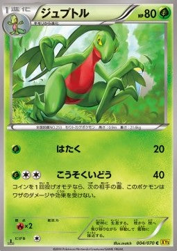 Grovyle - Gaia Volcano (Common) [XY5g-004]
