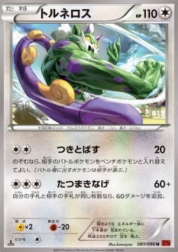 Tornadus - Rising Fist (Uncommon) [XY3-081]