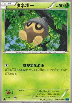 Seedot - Wild Blaze (Common) [XY2-005]