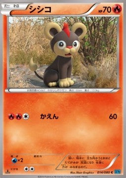 Litleo - Wild Blaze (Common) [XY2-014] Hauptbild