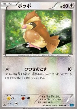 Pidgey - Wild Blaze (Common) [XY2-061]