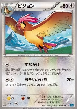 Pidgeotto - Wild Blaze (Common) [XY2-062]