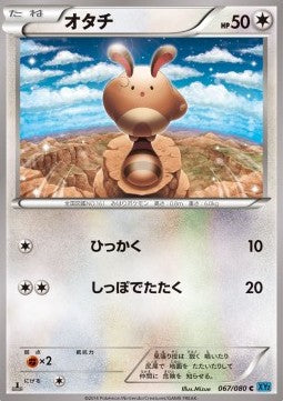 Sentret - Wild Blaze (Common) [XY2-067] Hauptbild