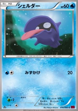 Shellder - Collection Y (Common) [XY1y-016] Hauptbild