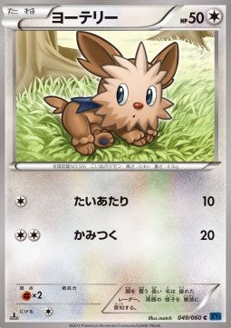 Lillipup - Collection X (Common) [XY1x-049] Hauptbild