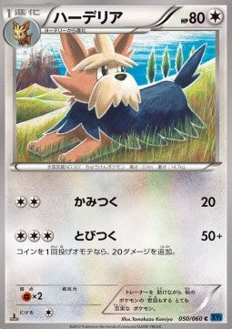 Herdier - Collection X (Common) [XY1x-050] Hauptbild