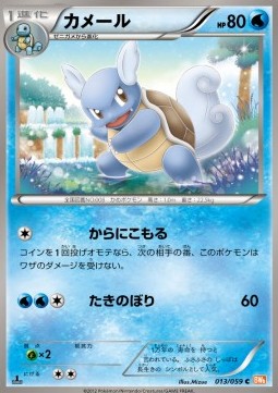 Wartortle - Cold Flare (Common) [BW6c-013] Hauptbild