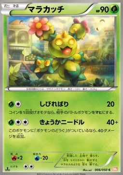 Maractus Image principale du produit