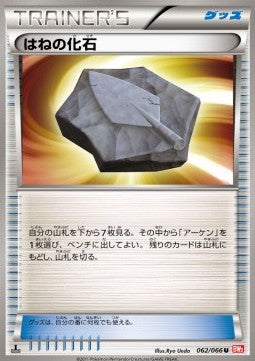 Plume Fossil