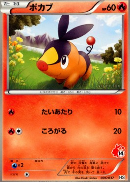 Tepig Hoofdafbeelding