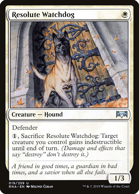 Resolute Watchdog – Ravnica Allegiance (RNA-19) Magic: The Gathering card
