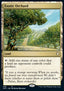 Exotic Orchard - Commander: Adventures in the Forgotten Realms (Rare) [AFC-236]