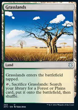 Grasslands - Commander: Adventures in the Forgotten Realms (Uncommon) [AFC-242] Image principale du produit