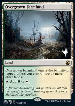 Overgrown Farmland (V.2) Hoofdafbeelding
