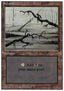 Swamp (V.3)