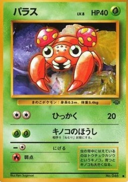 Paras Hoofdafbeelding