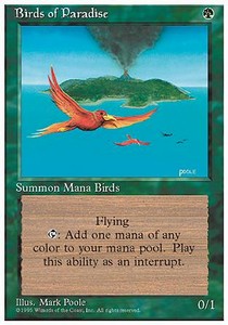 Birds of Paradise Imagen principal del producto