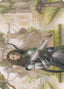 Arcus Acolyte // Arcus Acolyte – Modern Horizons 2 Art Series (AMH2-44) Magic: The Gathering card | LC-REM-20260804-15151856648524-5b11bc9f-5246-48b9-8f75-a1a2c169a4c3