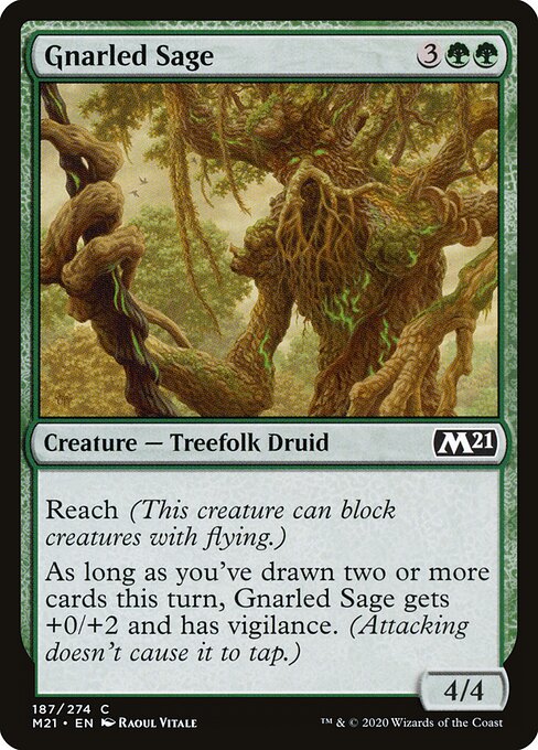 Gnarled Sage – Core 2021 (M21-187) Magic: The Gathering card Immagine principale del prodotto