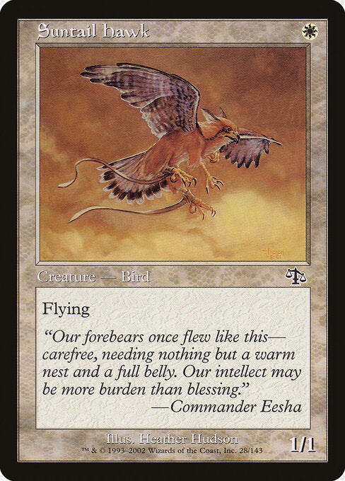 Suntail Hawk – Judgment (JUD-28) Magic: The Gathering card