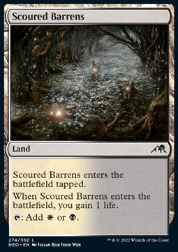 Scoured Barrens Hoofdafbeelding