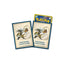 Pikachu Adventure: Pikachu & Zeraora Sleeves - Time Gazer