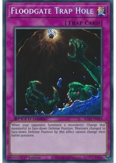 Floodgate Trap Hole — Speed Duel GX: Duel Academy Box (SGX1-I23) Yu-Gi-Oh! card Hauptbild