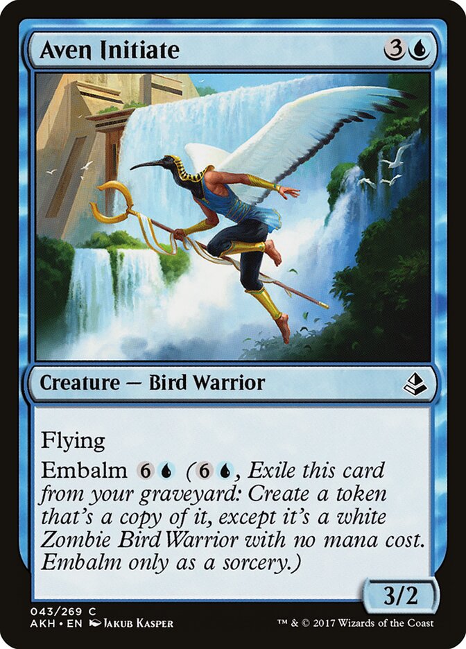 Aven Initiate - Amonkhet (Common) [AKH-43] Hauptbild