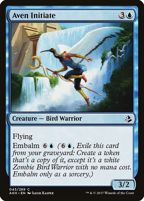 Aven Initiate – Amonkhet (AKH-43) Magic: The Gathering card