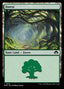 Forest (V.3) - Modern Horizons 3 (Land) [MH3-319]