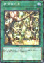 Secret Village of the Spellcasters - Secret Shiny Box (Parallel Rare) [SSB1-036]