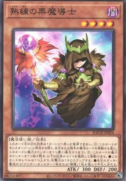 Skilled Brown Magician - Battle of Chaos (OCG) (Common) [BACH-JP-024]