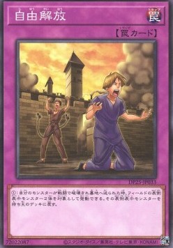 Liberty at Last! - Duelist Pack: Duelists of Whirlwind (Common) [DP25-033]