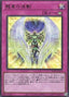 Draco-Utopian Aura — Power of the Elements (OCG) (POTE-JP-079) Yu-Gi-Oh! card