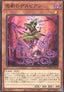 Despian Tragedy - Dawn of Majesty (OCG) (Common) [DAMA-JP-005]