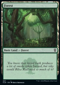 Forest (V.1) - Commander Legends: Battle for Baldur's Gate: Extras (Land) [XCLB-467] Hoofdafbeelding