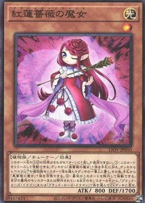 Ruddy Rose Witch — Lightning Overdrive (OCG) (LIOV-JP-010) Yu-Gi-Oh! card Main image