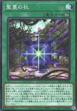 Sunvine Shrine - Selection 10 (Common) [SLT1-038]