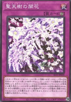 Sunavalon Bloom - Selection 10 (Common) [SLT1-039]
