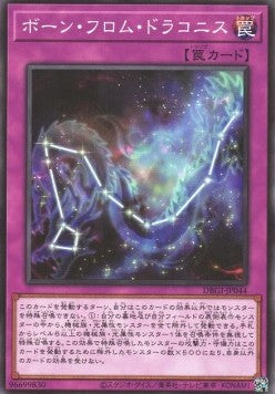 Born from Draconis (V.1 - Common) - Deck Build Pack: Genesis Impactors (Common) [DBGI-044] Immagine principale del prodotto
