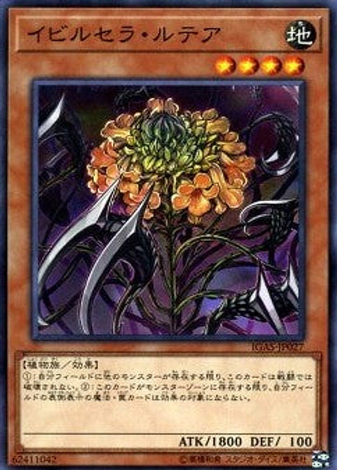 Ibicella Lutea — Ignition Assault (OCG) (IGAS-JP-027) Yu-Gi-Oh! card Main image