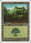 Forest – Portal Three Kingdoms (PTK-178) Magic: The Gathering card | LC-REM-20260804-15520580895052-6677baa6-a38f-48f2-9ff2-2e3321b22959