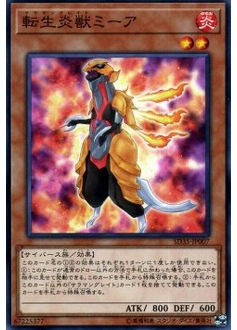 Salamangreat Meer — Structure Deck: Soulburner (OCG) (SD35-007) Yu-Gi-Oh! card Hauptbild
