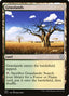 Grasslands – Commander: Adventures in the Forgotten Realms (AFC-242) Magic: The Gathering card