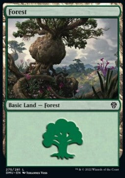 Forest (V.2) - Dominaria United (Land) [DMU-275] Imagen principal del producto
