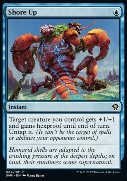 Shore Up - Dominaria United (Common) [DMU-64] Imagen principal del producto