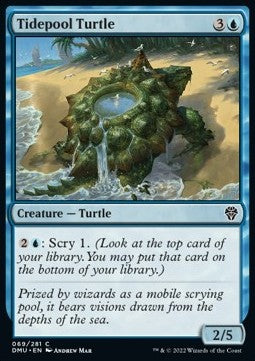 Tidepool Turtle - Dominaria United (Common) [DMU-69] Hover Image