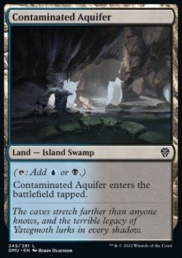 Contaminated Aquifer - Dominaria United (Common) [DMU-245] Imagen principal del producto